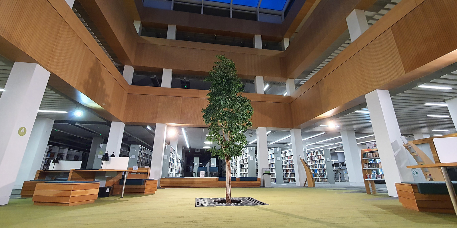  library foyer with the living tree in the centre.